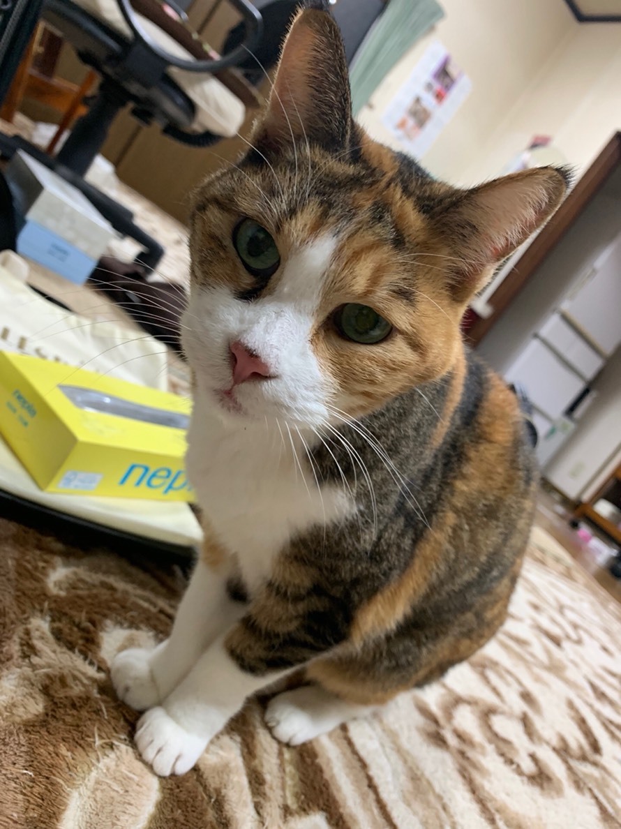 c0340786_19055270.jpeg
