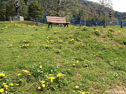 タンポポの原っぱとベンチ‥_f0094786_17592866.jpg