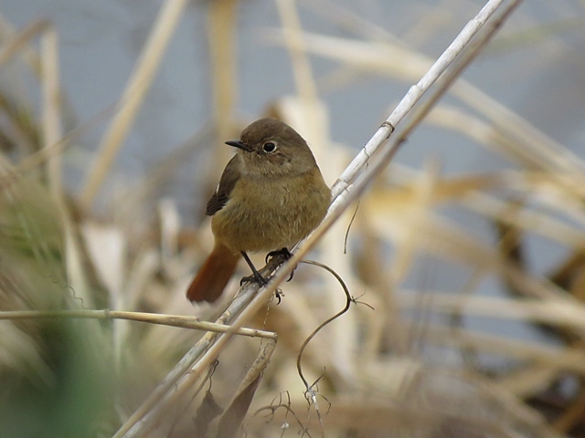 f0357487_12523354.jpg