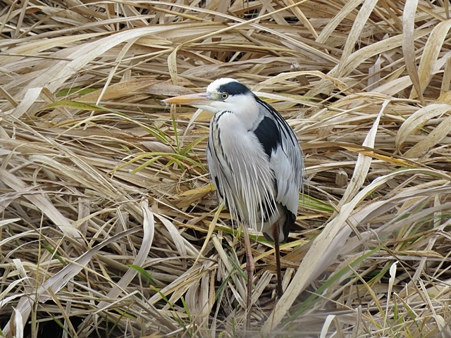 f0357487_12561883.jpg