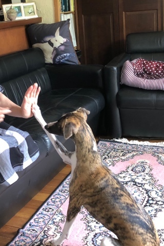 f0177788_11050801.jpeg