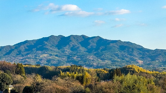 e0176993_09430829.jpg