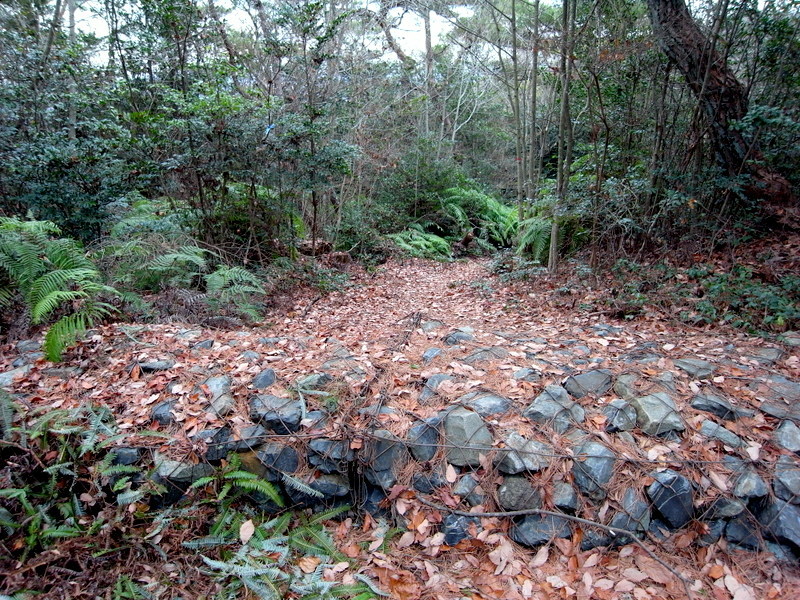 熊山登山 論山経由で和気に下る！の巻_f0325295_12265604.jpg