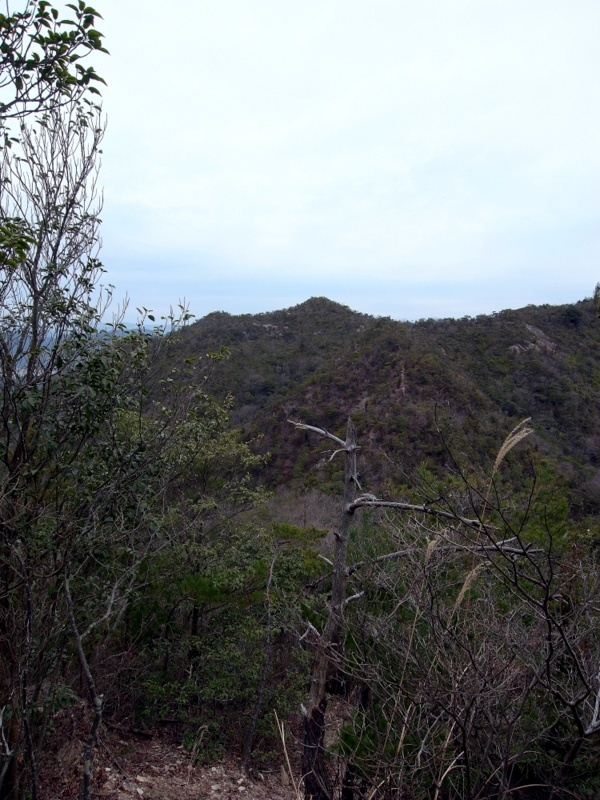 f0325295_12302031.jpg