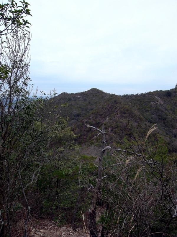 熊山登山 論山経由で和気に下る！の巻_f0325295_12302031.jpg