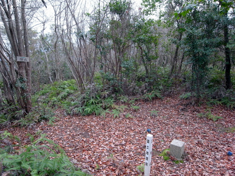 f0325295_12302467.jpg