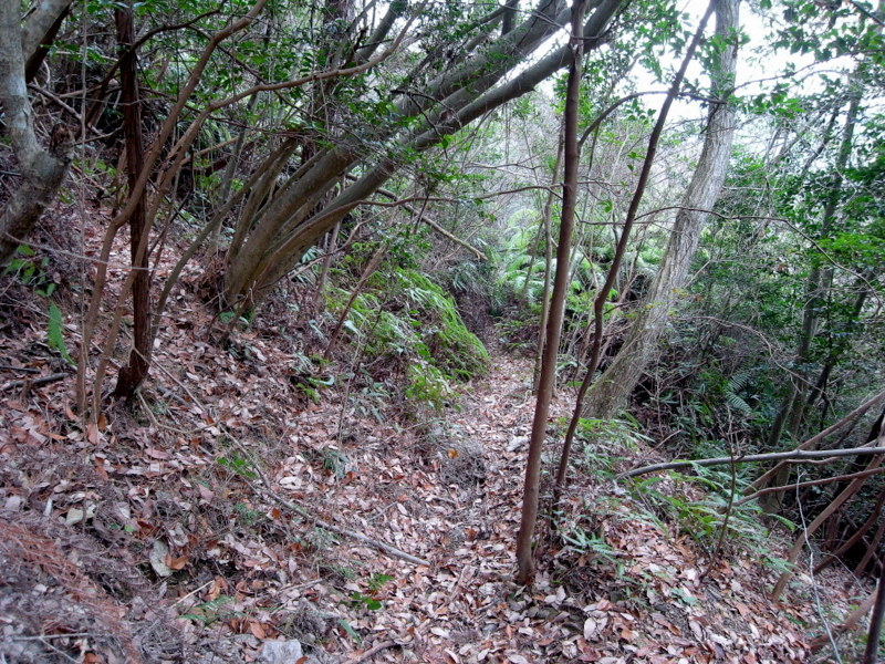 f0325295_12304055.jpg