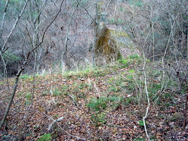 f0325295_12304336.jpg