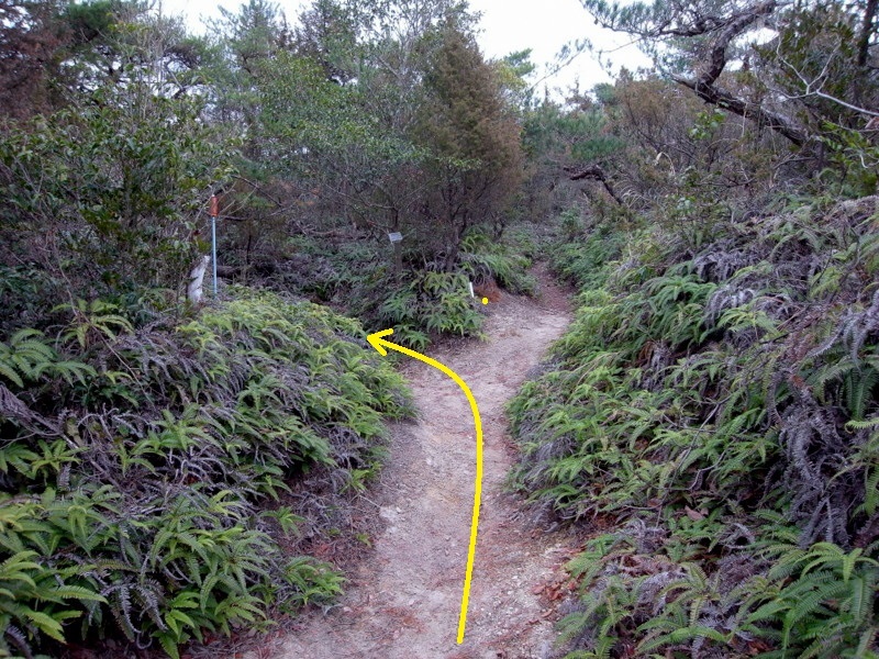 f0325295_14552570.jpg