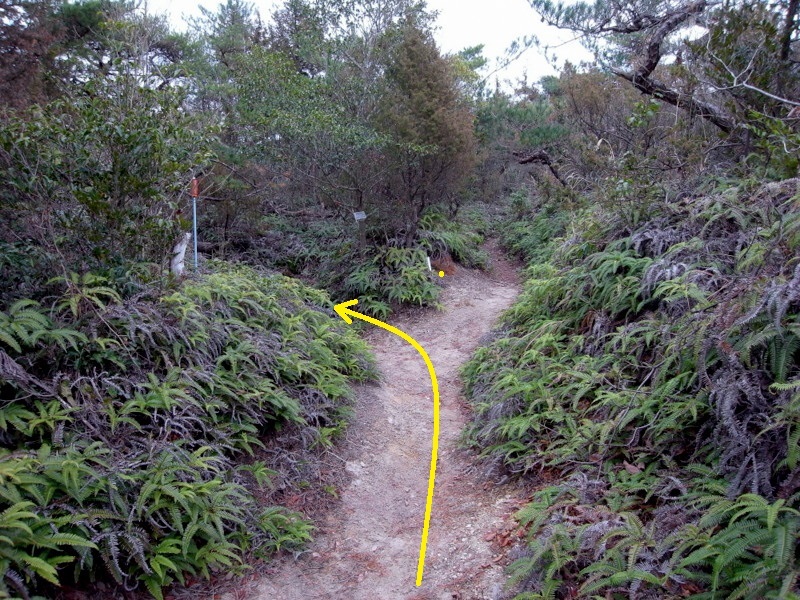 熊山登山 論山経由で和気に下る！の巻_f0325295_14552570.jpg