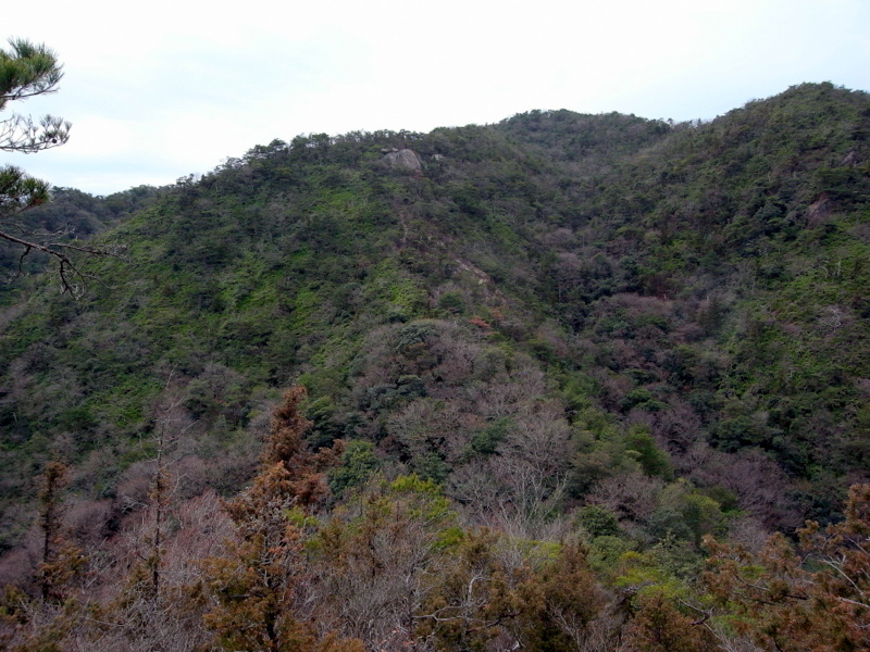 熊山登山 論山経由で和気に下る！の巻_f0325295_15085658.jpg