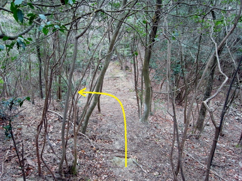 f0325295_15204952.jpg
