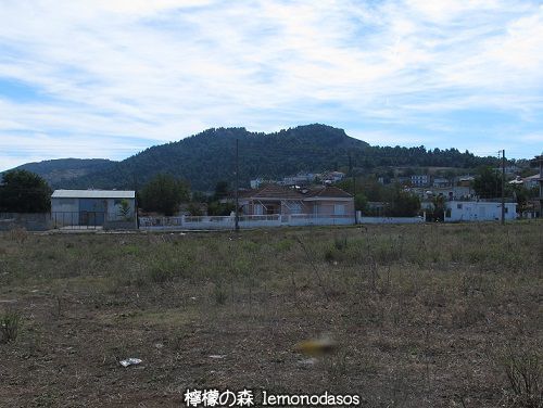 c0010496_20282935.jpg