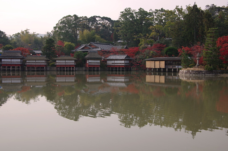 長岡天神 紅葉 京都デジカメ散歩 長岡天神 紅葉 京都デジカメ散歩