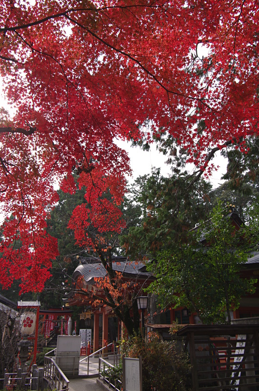 c0382798_17171669.jpg
