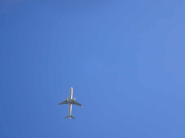 e0115199_14015267.jpg