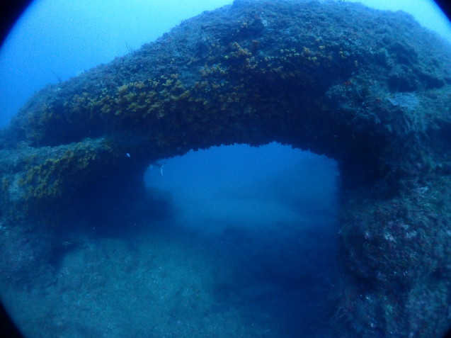 e0115199_17020588.jpg