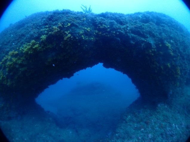 e0115199_17020631.jpg