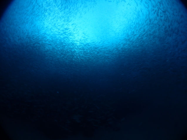 e0115199_17495536.jpg