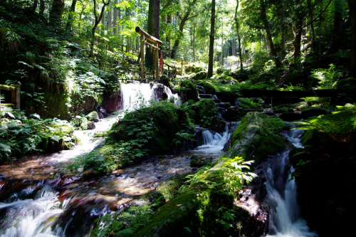 a0057402_06513735.png