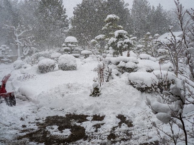 c0008502_1126483.jpg