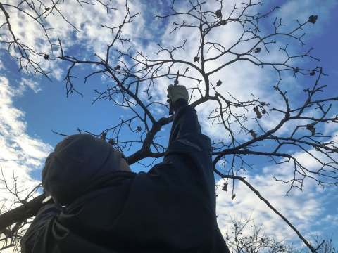 e0270403_11483286.jpg