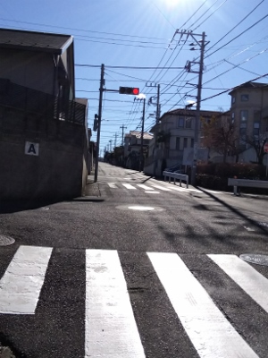 b0040606_21232869.jpg