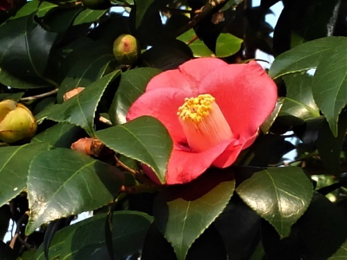 e0360409_12394530.jpg
