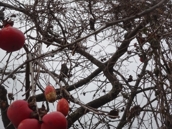 f0231709_12012359.jpg