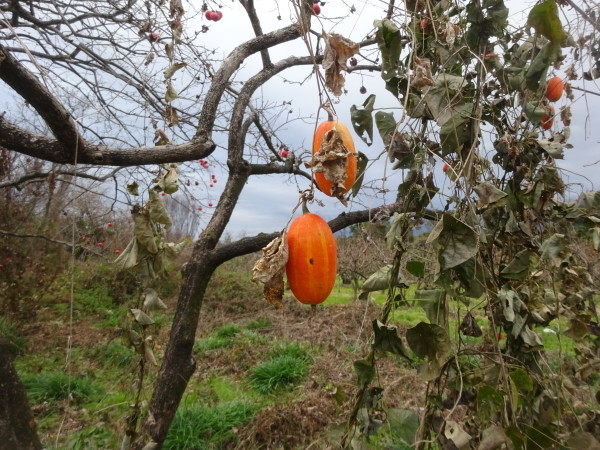 f0231709_12015137.jpg