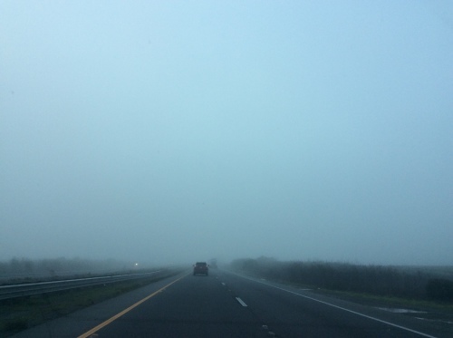 a0331910_10342103.jpeg