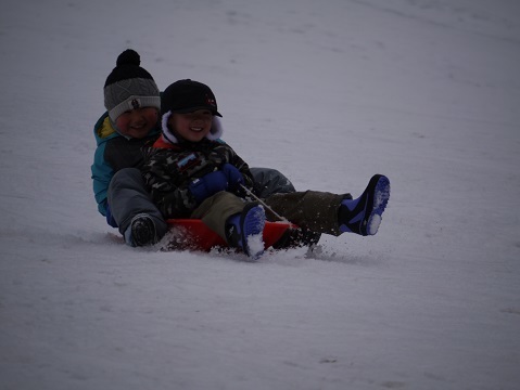 20190111_f0236012_12543624.jpg