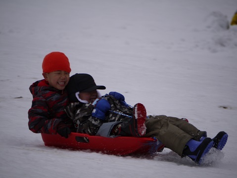 20190111_f0236012_12553334.jpg
