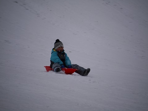 20190111_f0236012_13062997.jpg