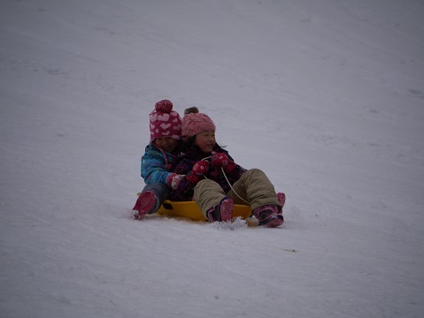 20190111_f0236012_13063764.jpg