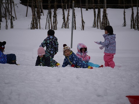 20190111_f0236012_13095592.jpg