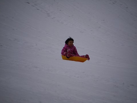 20190111_f0236012_13121325.jpg