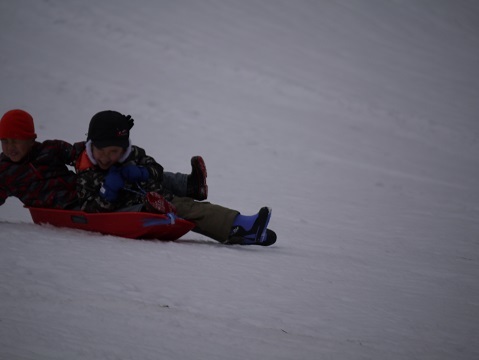 20190111_f0236012_13122716.jpg