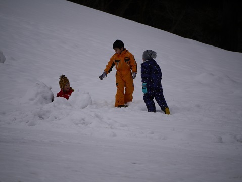 20190111_f0236012_13124837.jpg