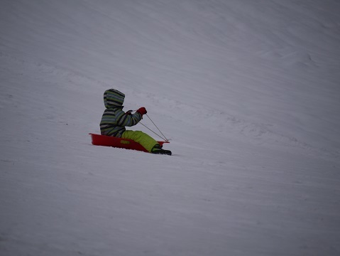 20190111_f0236012_13125777.jpg