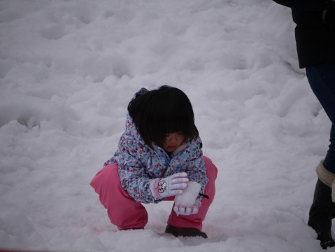 20190111_f0236012_13131720.jpg