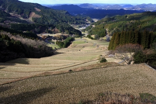 c0168815_01350992.jpg
