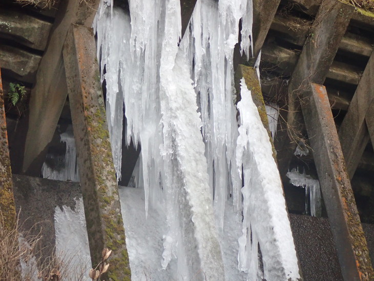 f0193521_1835342.jpg