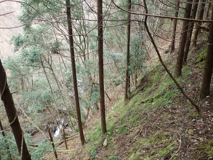 f0193521_18381996.jpg