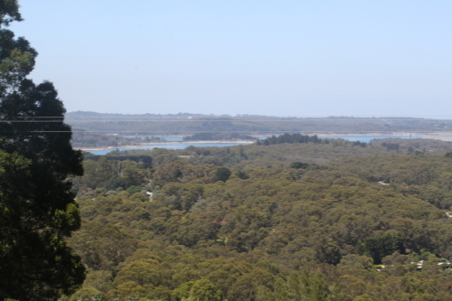 a0163227_13544617.jpg