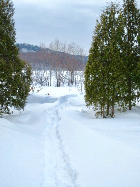 a0329935_14474558.jpeg