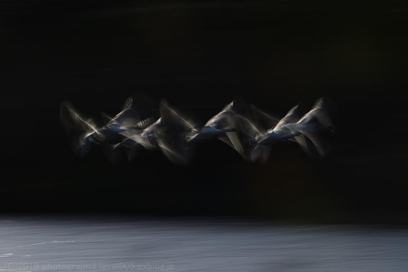 e0362037_10340843.jpg