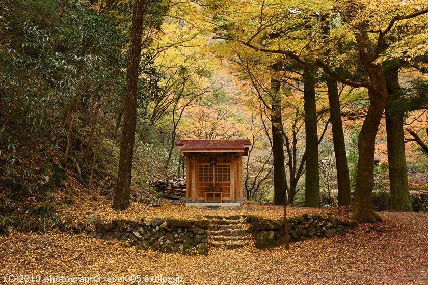 蓬莱山神社 紅葉 1 Photograph3