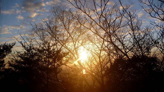 e0371039_13145578.gif