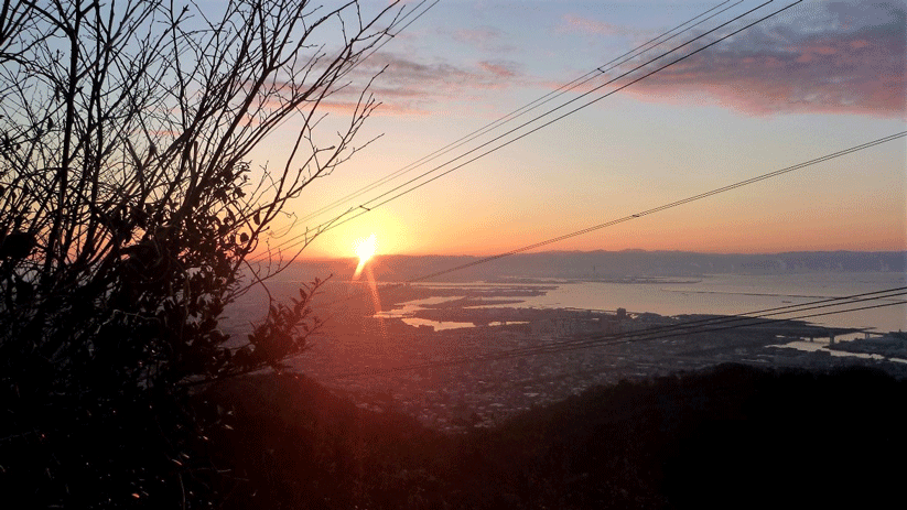 e0371039_13154057.gif